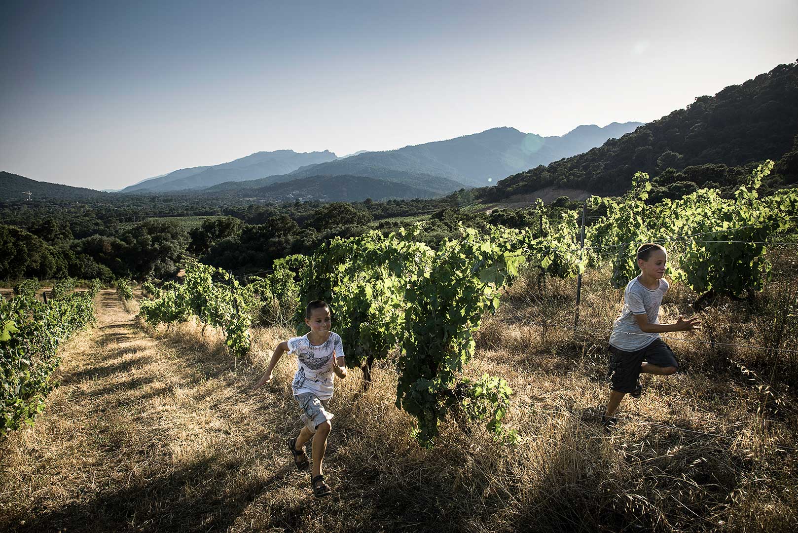 enfants qui courent dans les vignes, Corse, photo Emmanuel Perrin