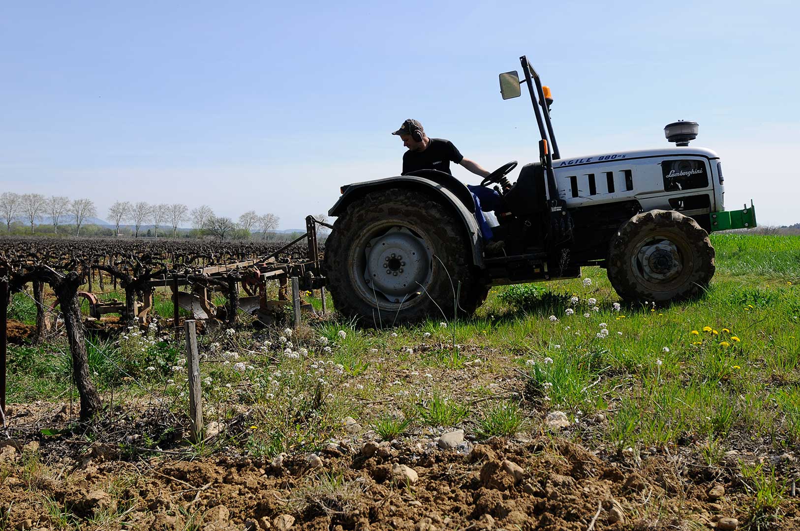 travail de la vigne, travail du sol, labour, vin bio, photo Emmanuel Perrin