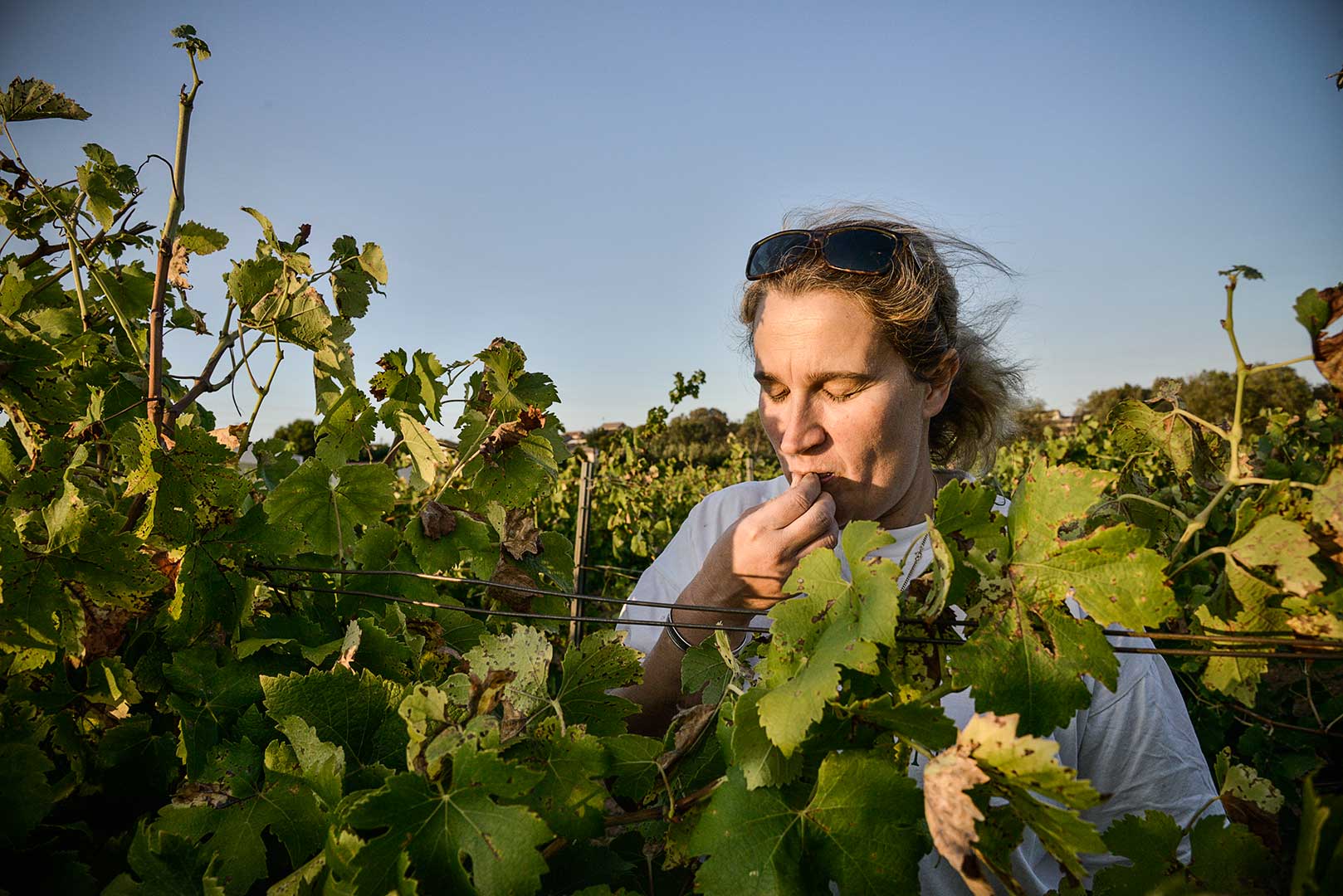 vigneronne, raisin, dégustation, photo Emmanuel Perrin