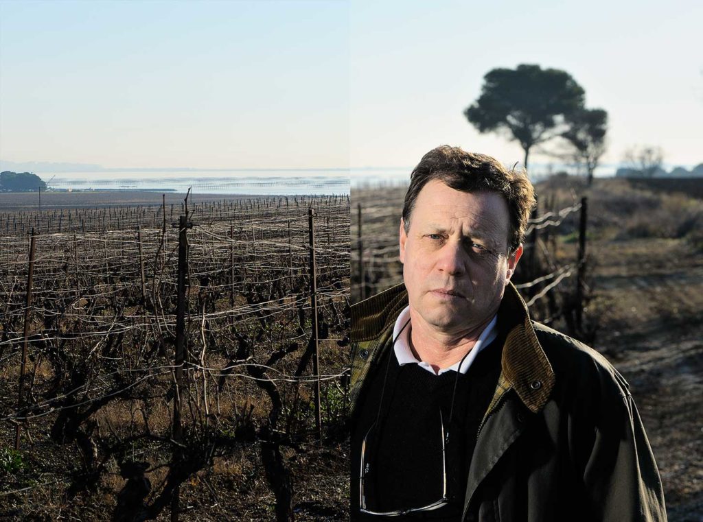 Vigneron, hiver, Picpoul, étang de Thau, photo Emmanuel Perrin