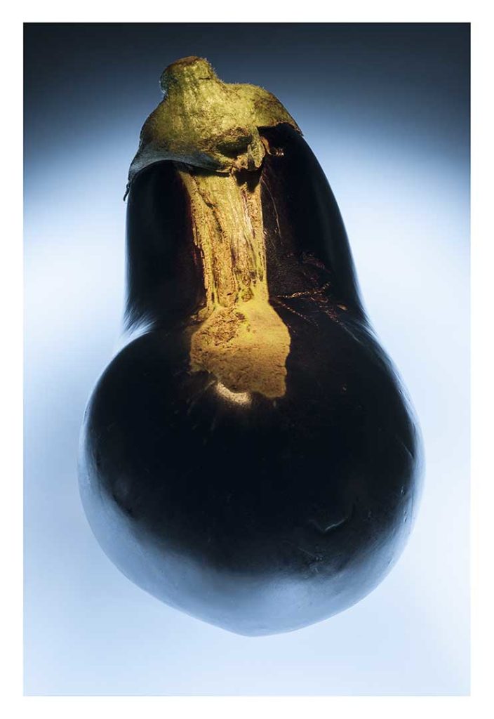 aubergine, bio, photo Emmanuel Perrin