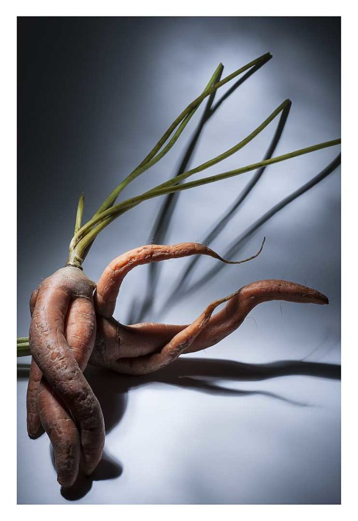 carottes, bio, photo Emmanuel Perrin