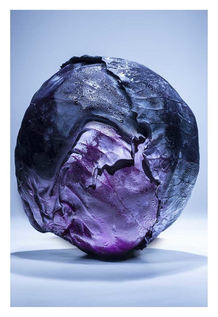 choux, bio, photo Emmanuel Perrin