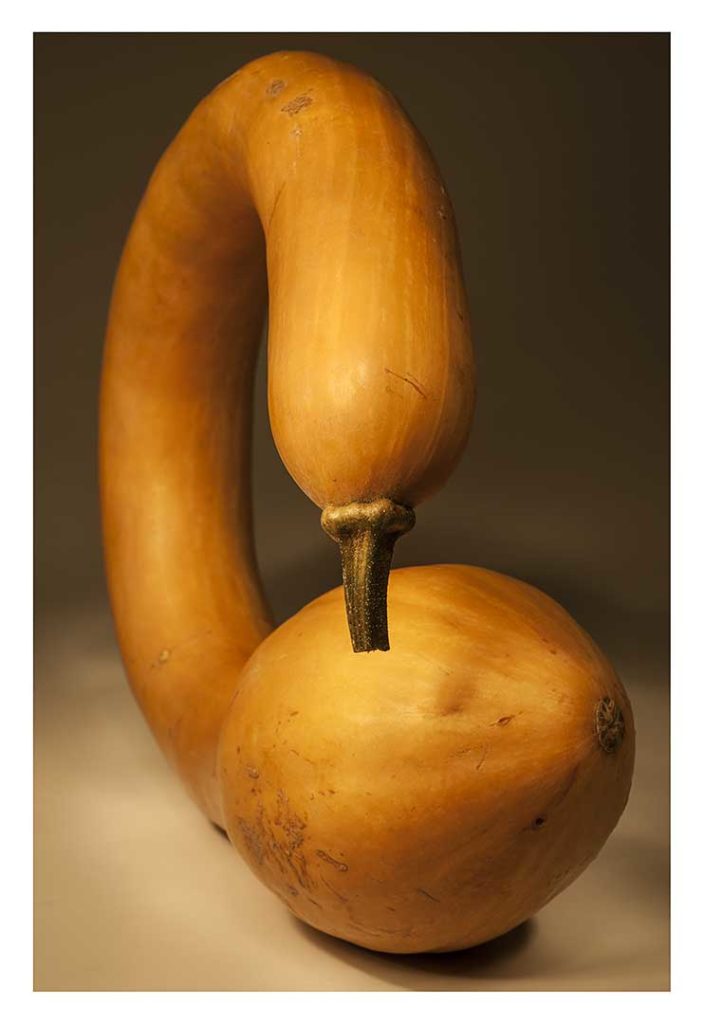 courge, bio, photo Emmanuel Perrin