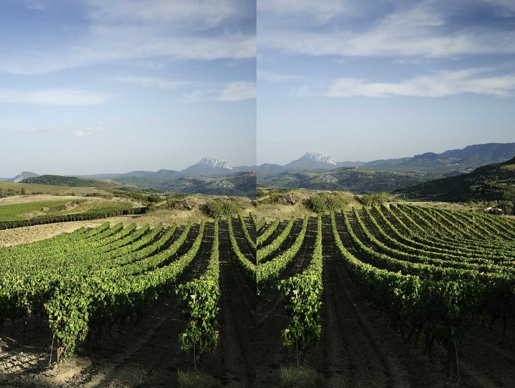 Limoux, Mont Tauch, photo Emmanuel Perrin