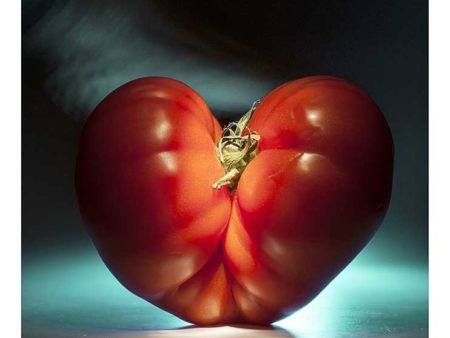 tomate, bio, photo Emmanuel Perrin