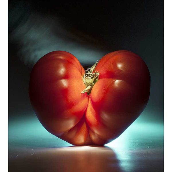 tomate, bio, photo Emmanuel Perrin